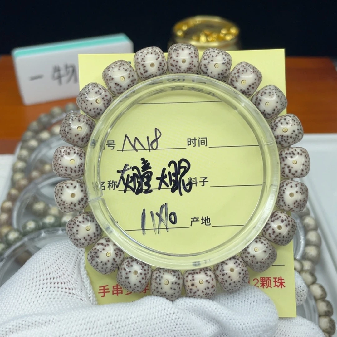 菩提籽类M灰瞳大眼睛