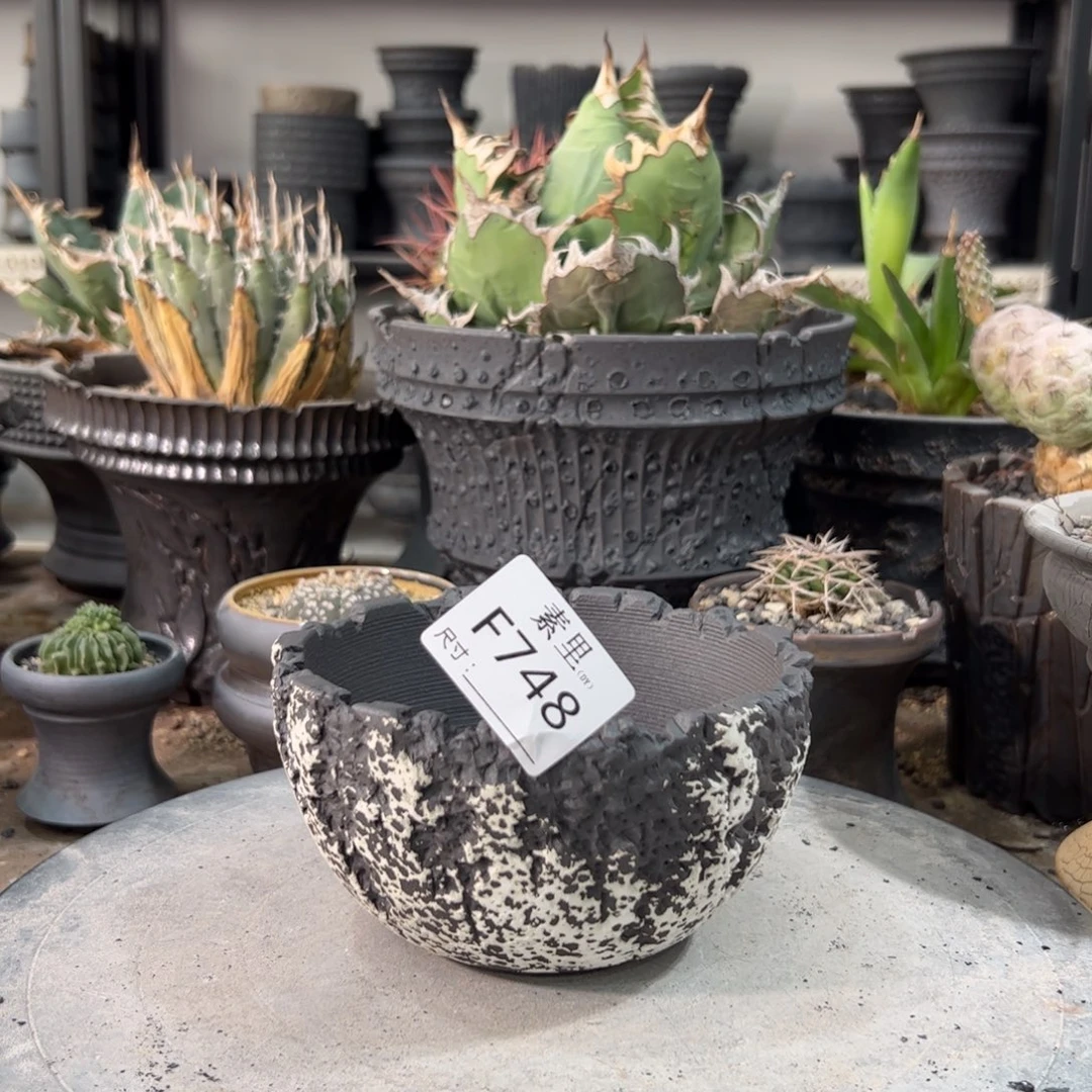 景德镇手工素里内口12高7.5