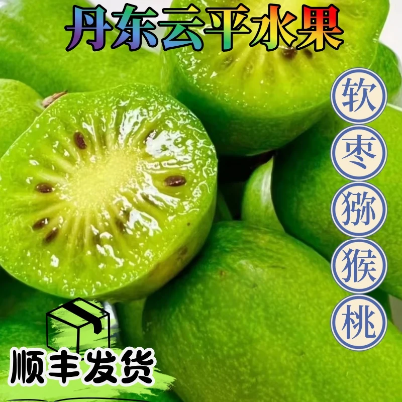 丹东奇异莓软枣猕猴桃东北特产奇异莓香甜多汁