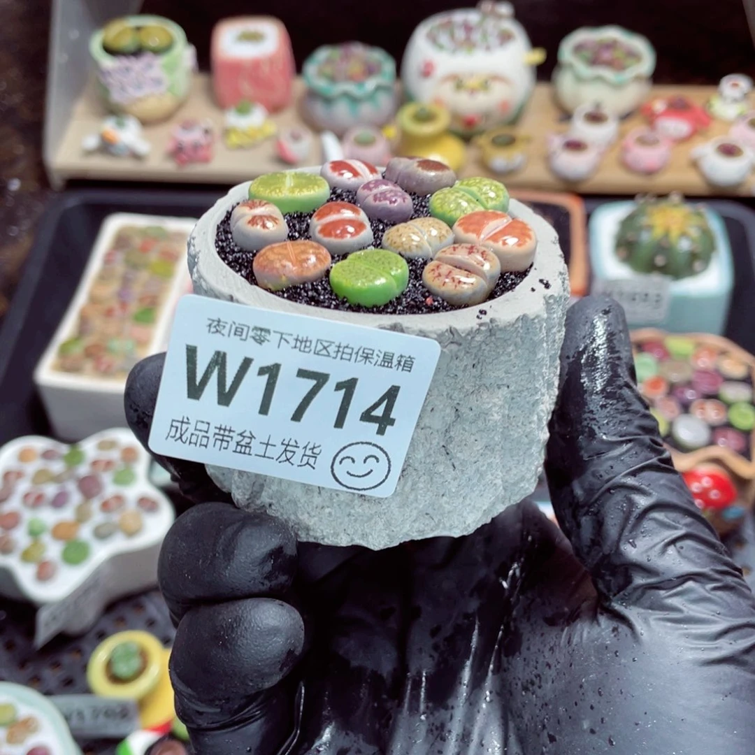 夜间零下地区拍保温箱w1714