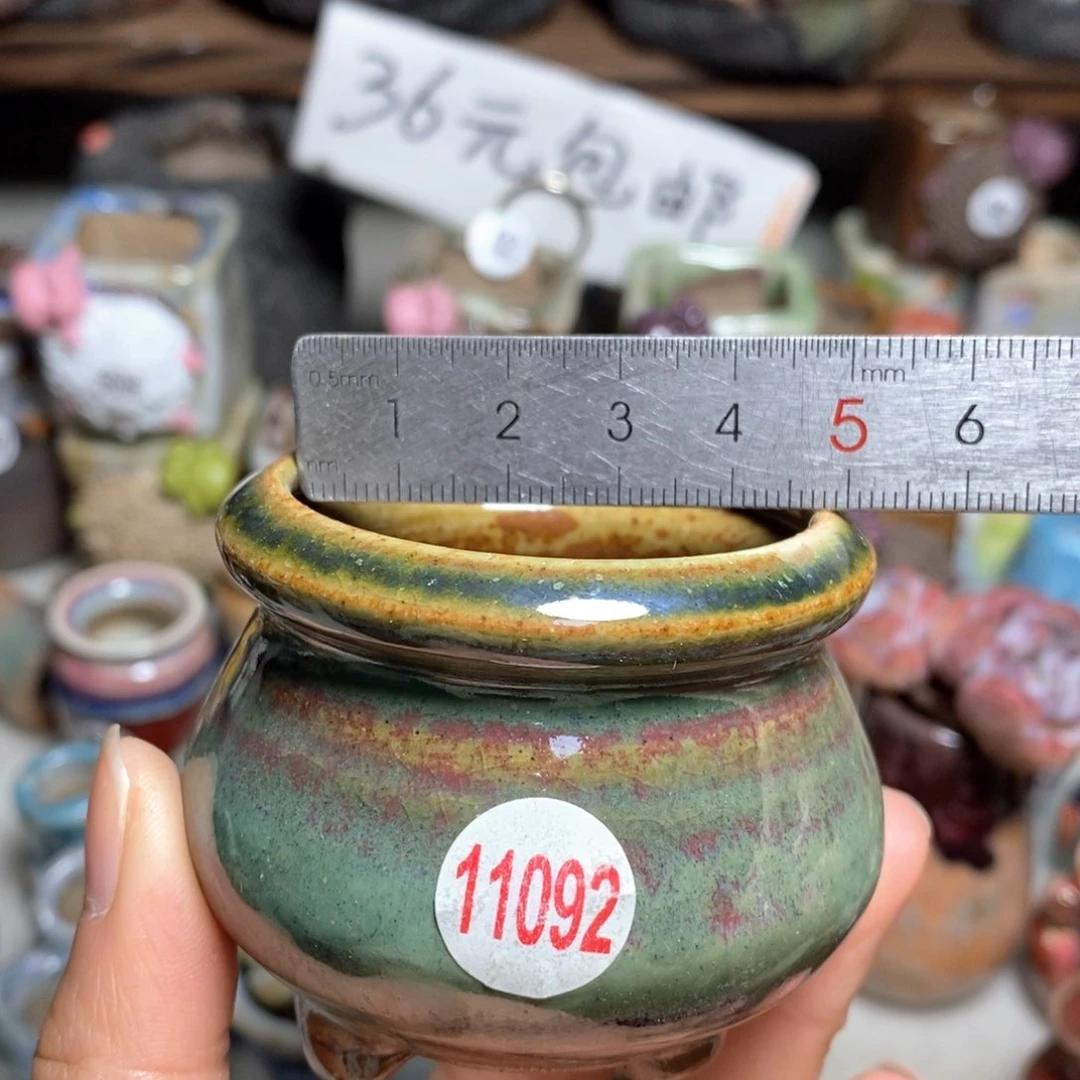 拍5送一个小礼物