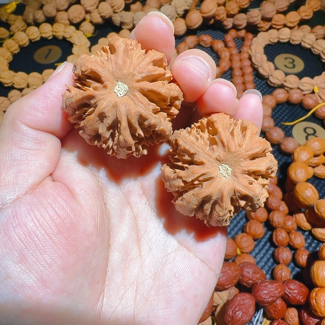 文玩核桃吊坠霸王龙边41+