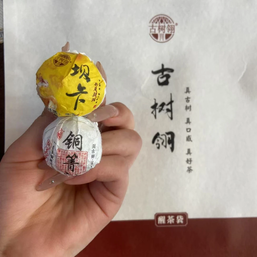 古树翎[坝卡、铜箐河]高端古树普洱生茶试饮装