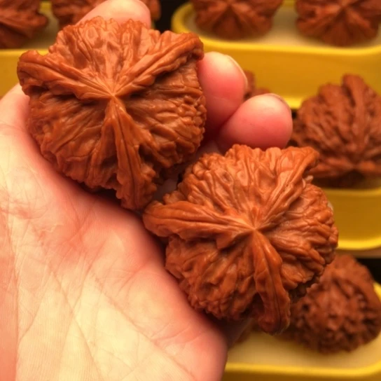 自***在核桃核桃核桃核桃核桃