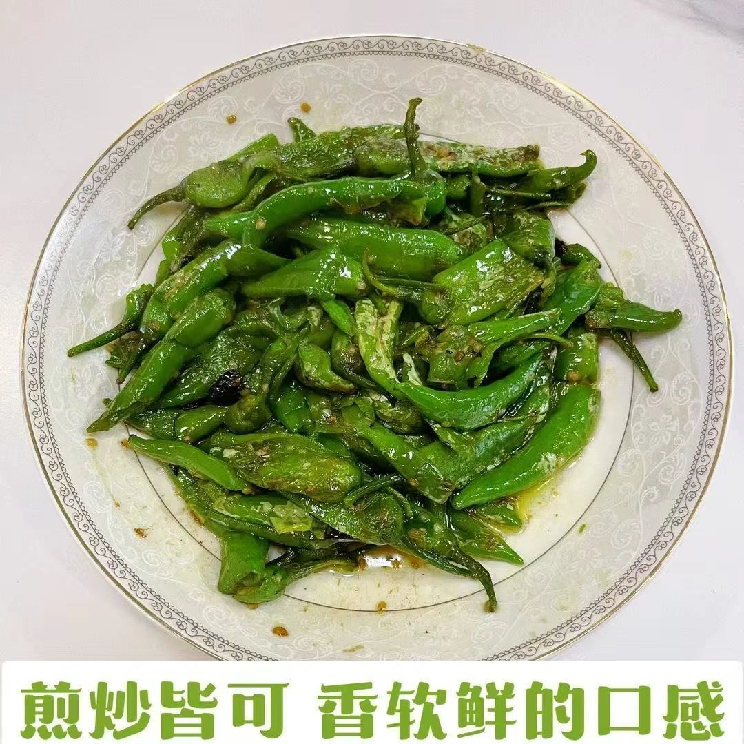 正宗樟树港小辣椒原种精选湖南特产薄皮清香美味软香辣椒原产地直发500g新鲜