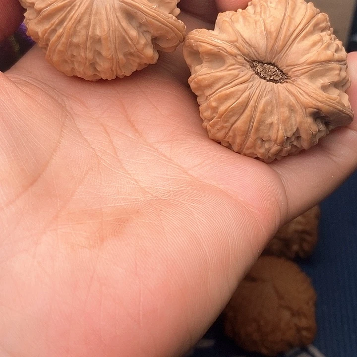 阿****文玩核桃吊坠45白狮子