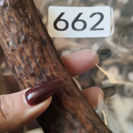 福***润鹿角鹿角鹿角鹿角鹿角鹿角