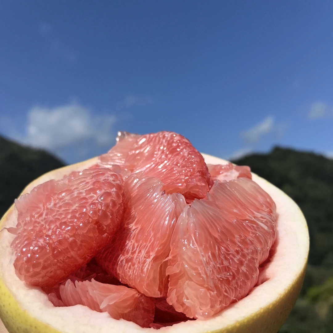 贵州高山三红柚蜜柚9甜1酸天然成熟果香浓郁汁水充足