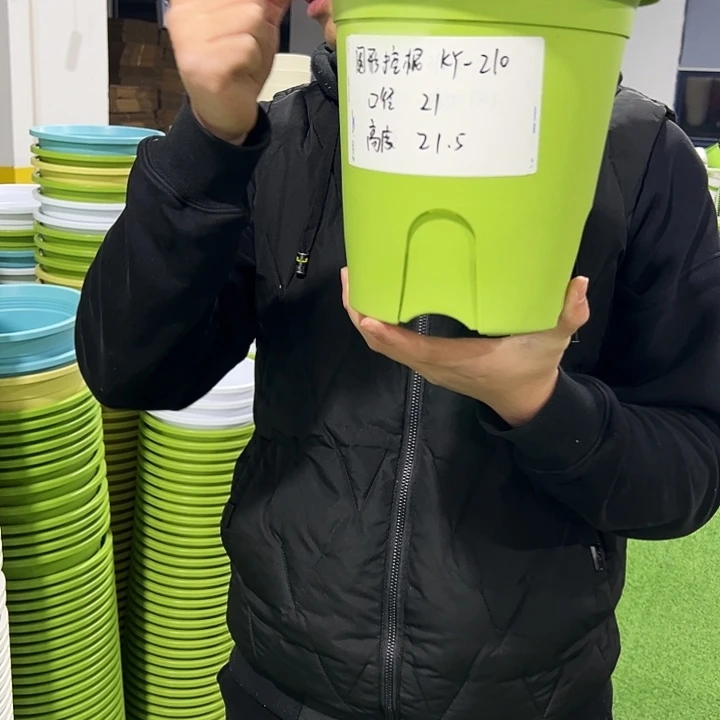 正品圆控口21高21果绿色8只无托