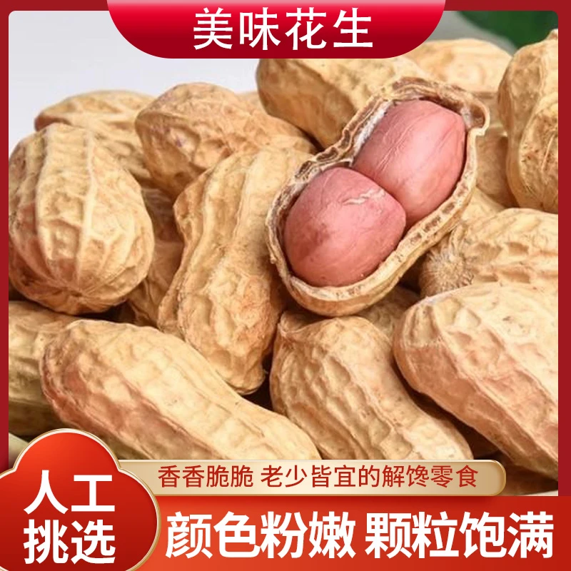 农家自种新鲜带壳红皮花生四川正宗土特产2.5kg/袋可水煮油炸香醇