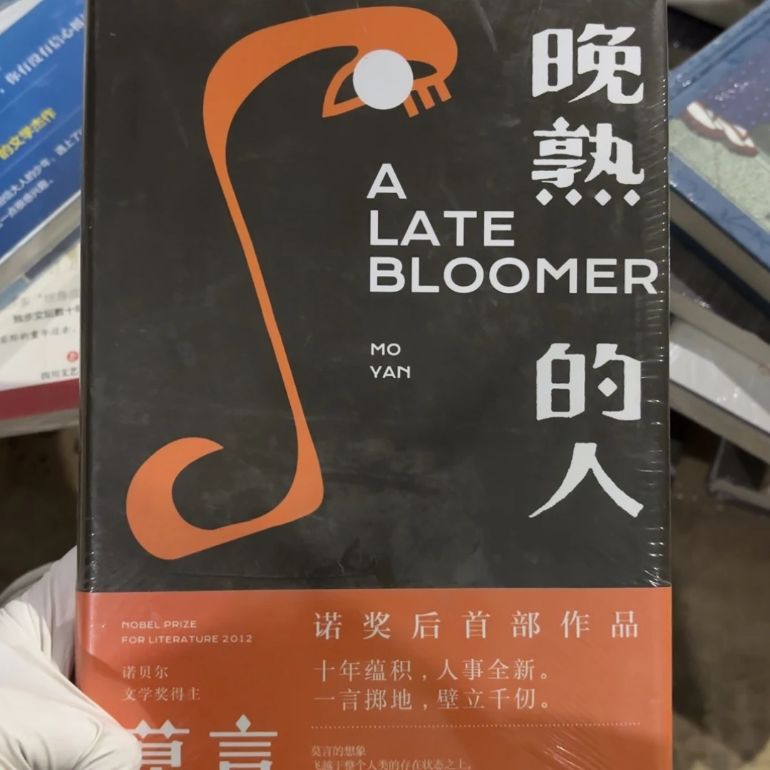 晚熟的人 闪购师傅15