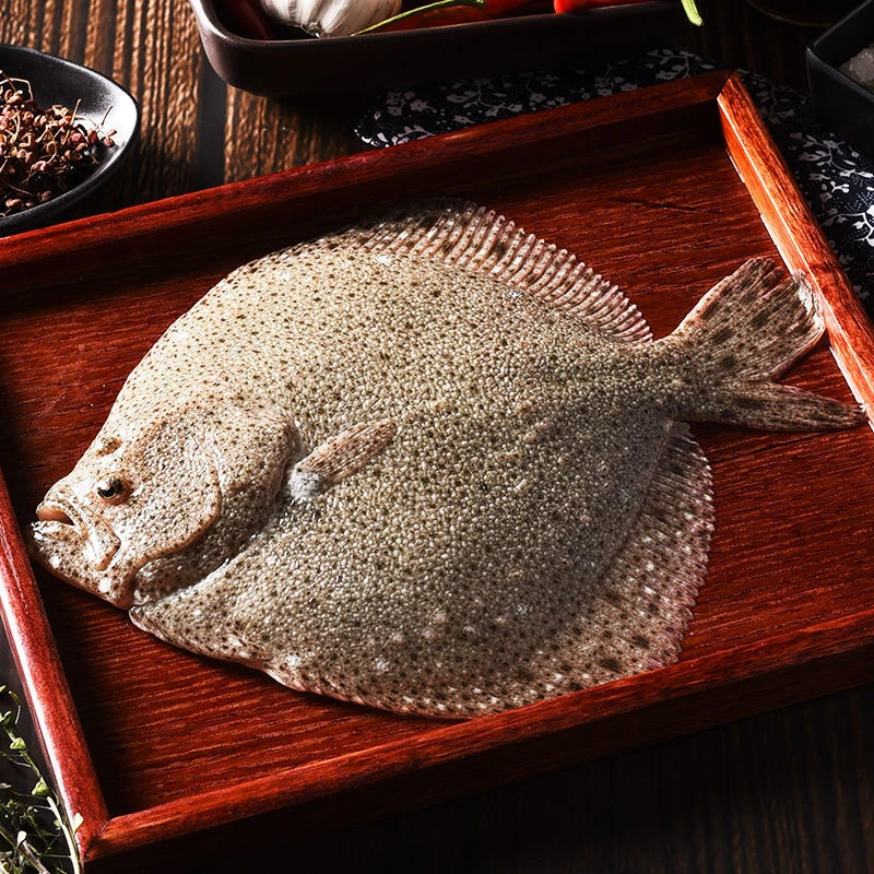 连云港野生海捕大号多宝鱼新鲜5条-每条1斤左右顺丰冷链发货