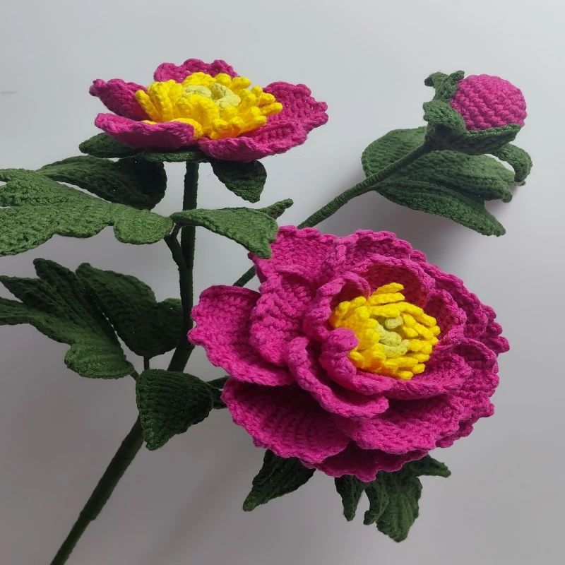 牡丹花视频线上教程