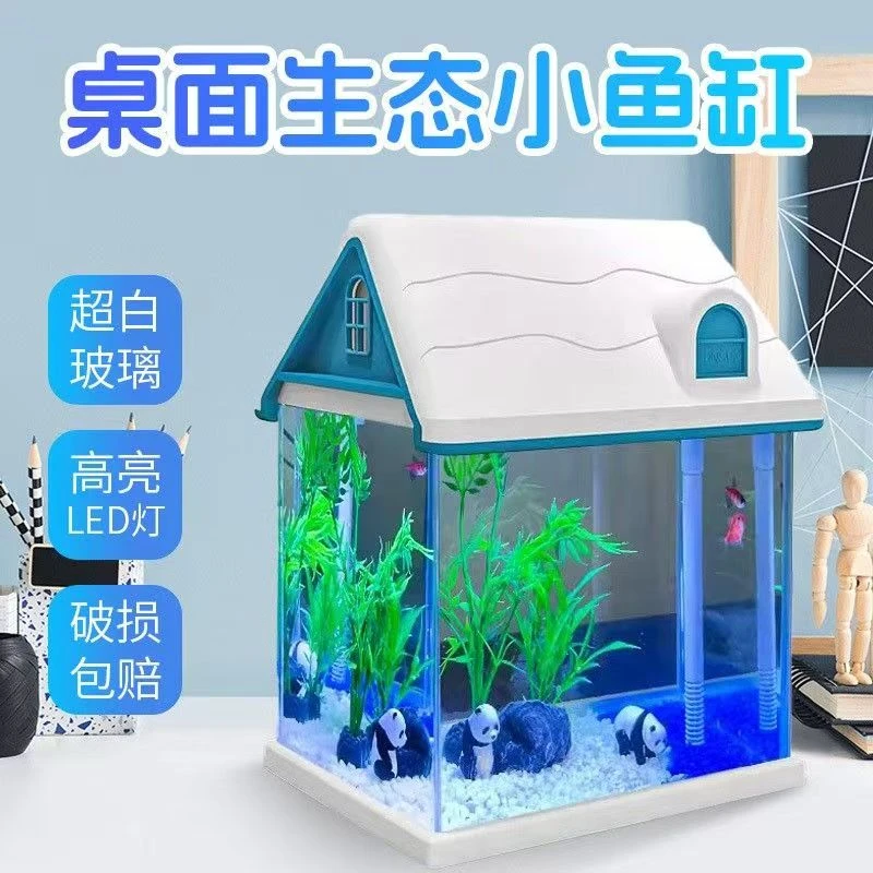 桌面生态小鱼缸破损包赔
