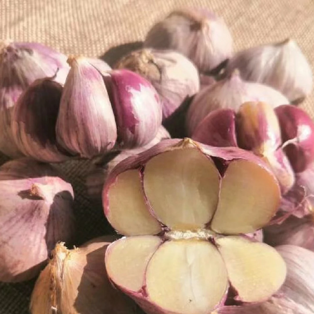【文文】 农家特产代收山货新鲜紫皮瓣蒜