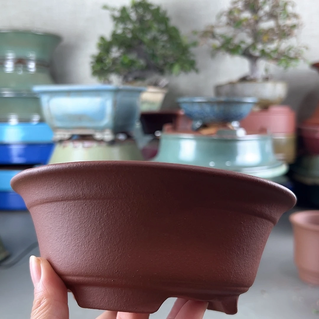 H***H高温紫砂盆子一只