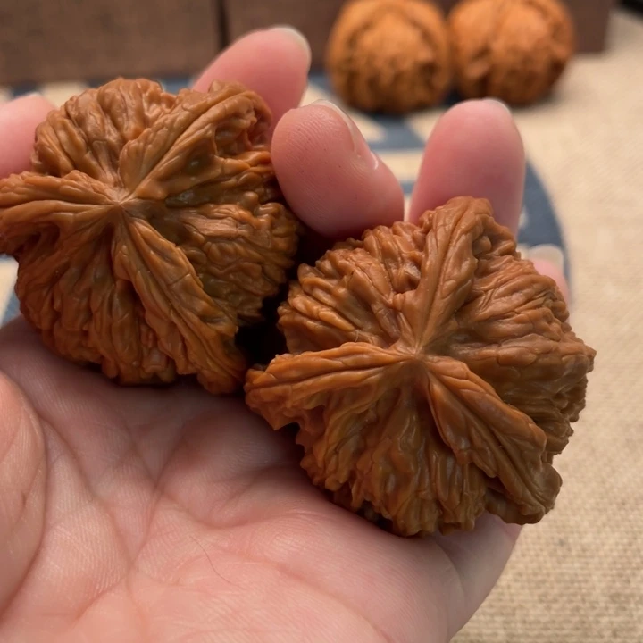 河***园银S925白狮子核桃