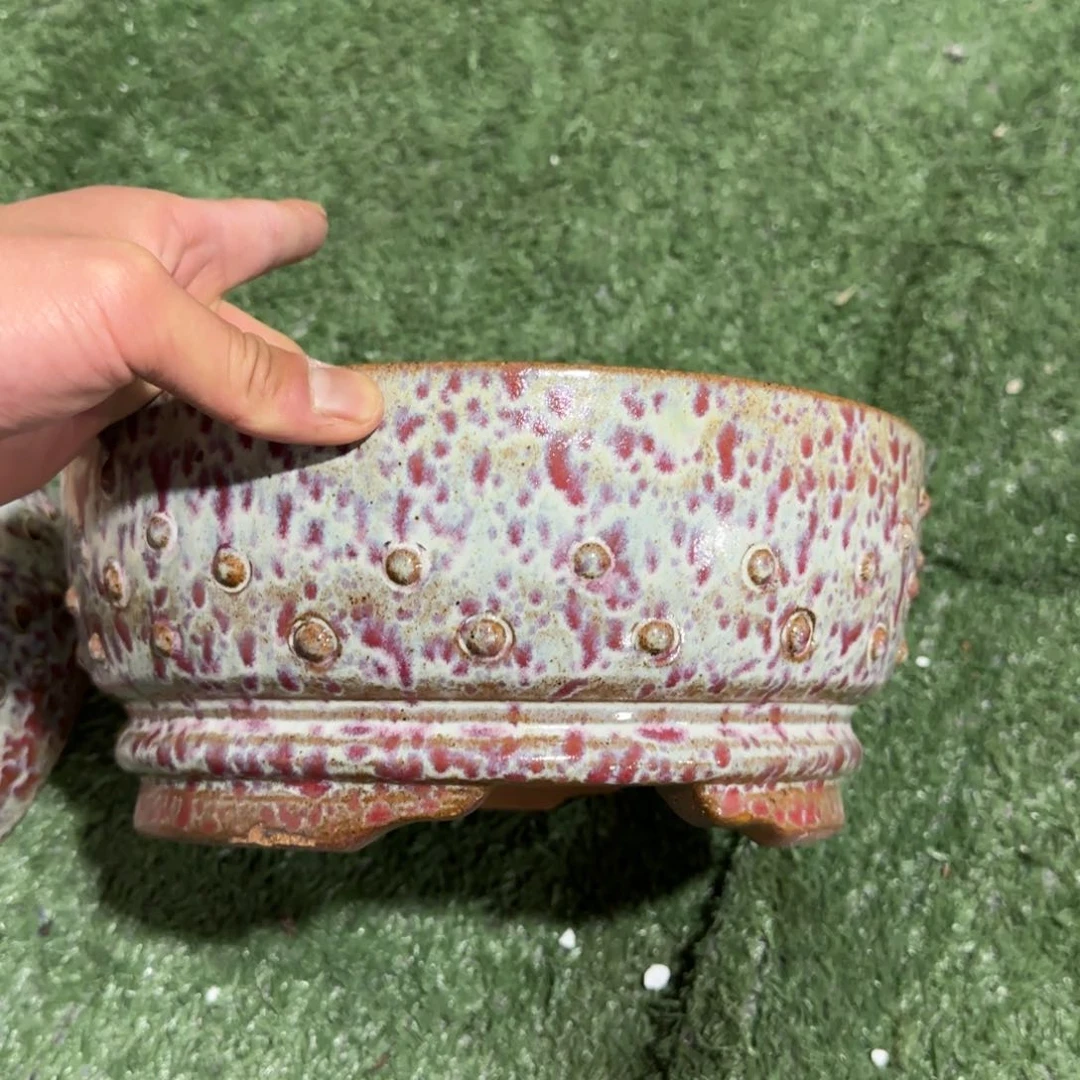 紫砂花盆我呜呜呜呜呜呜