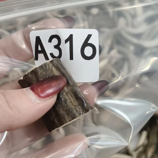 东***~鹿角鹿角鹿角鹿角鹿角