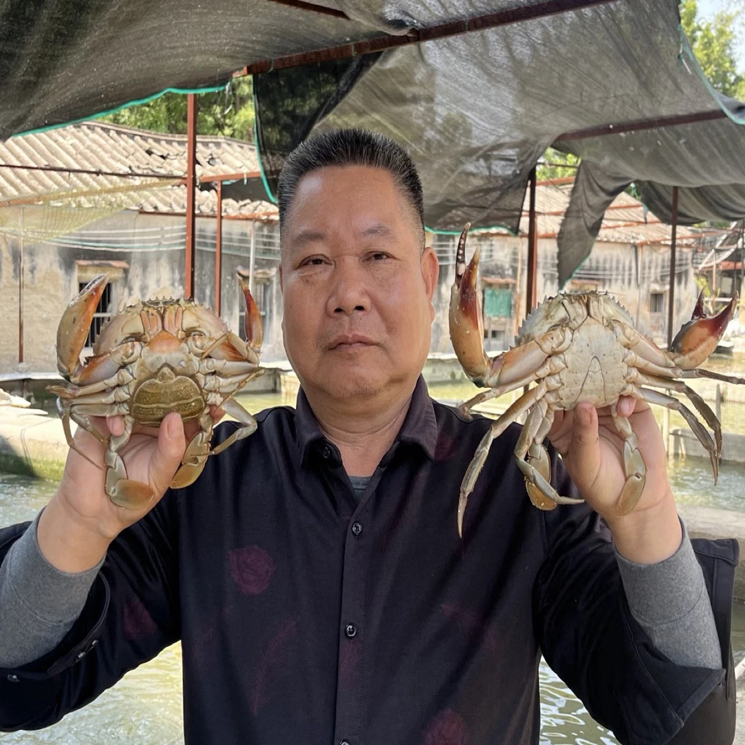 【地都蟹庄】正宗地都蟹 膏蟹 包活包肥 自家养殖 产地直销