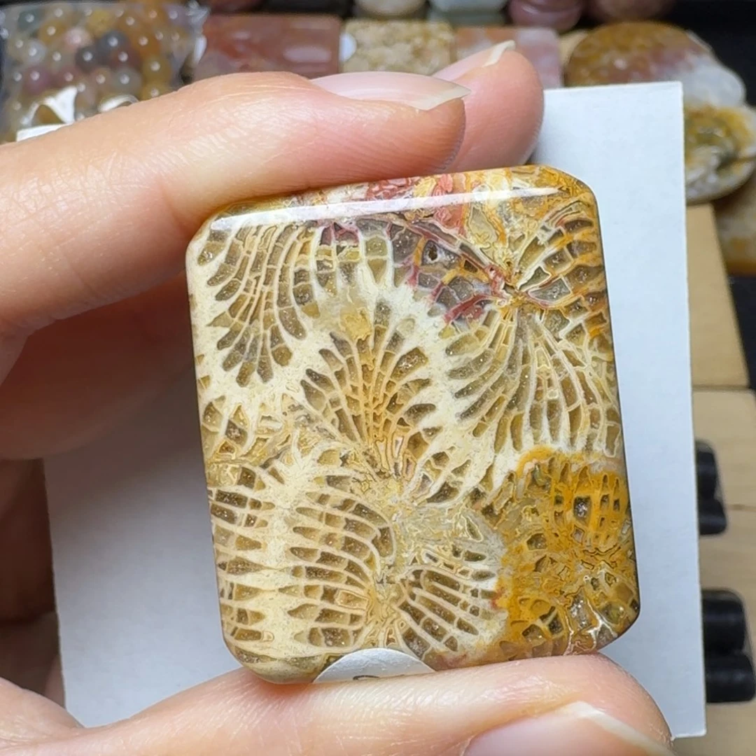 硅化玉生动的龙骨纹未镶嵌