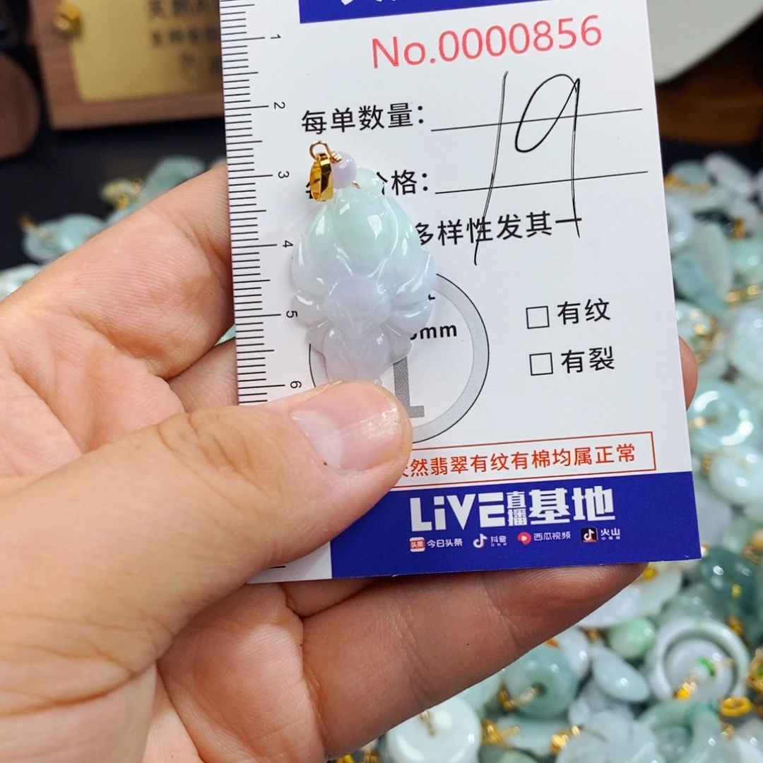 翡翠未镶嵌颈饰857