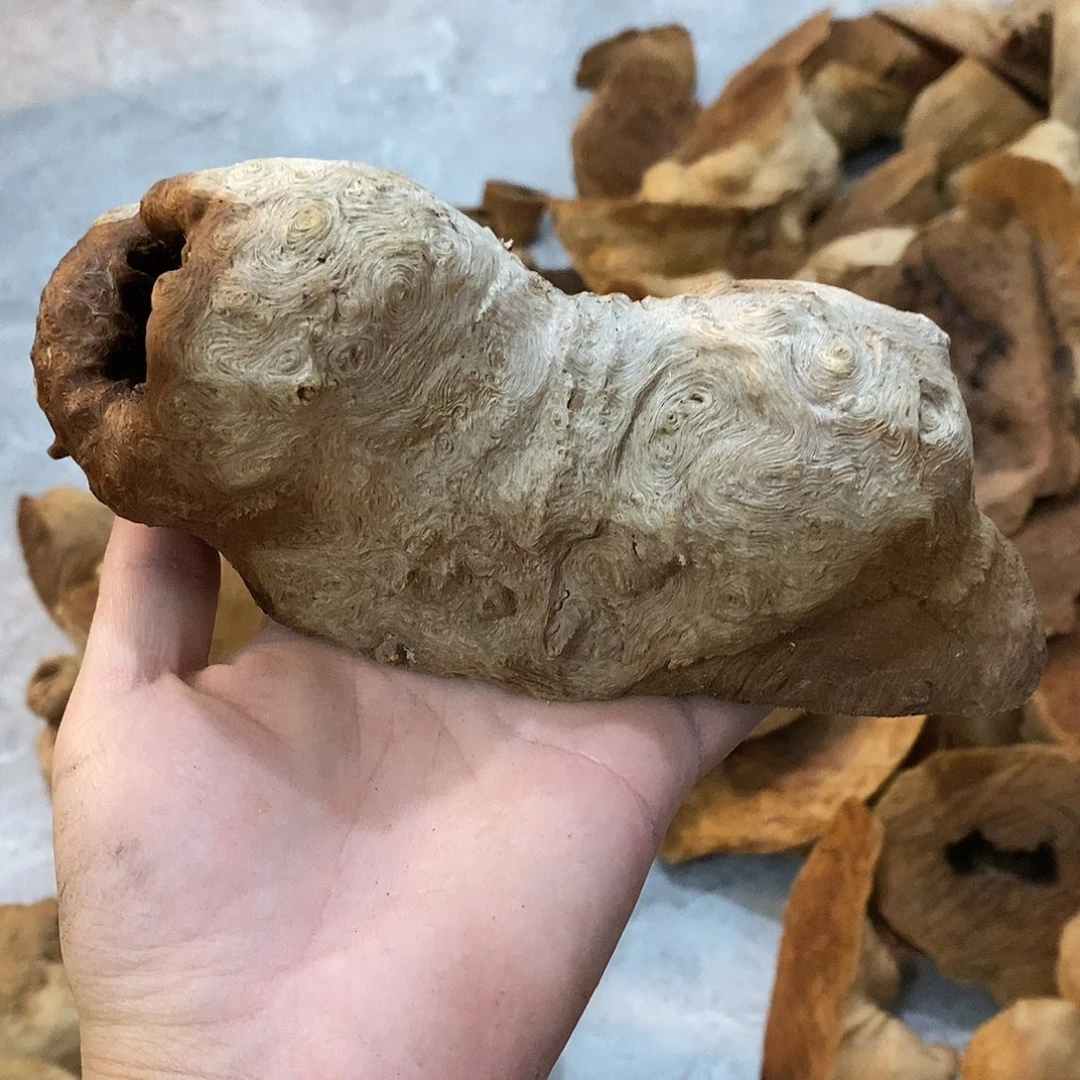 真***诚荔枝木荔枝木原料