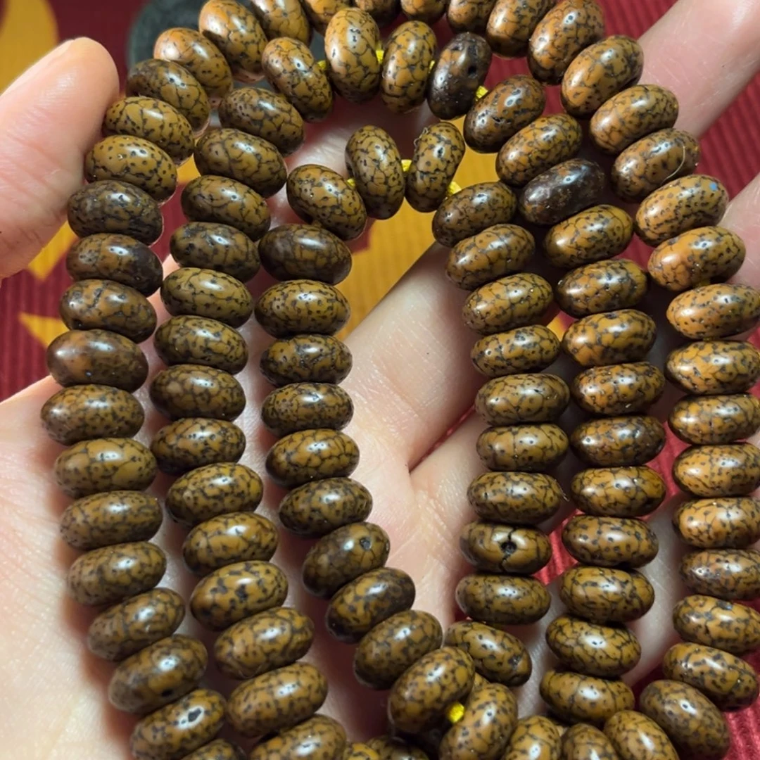 吊坠菩提根/象牙果