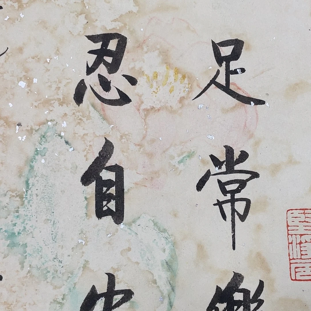 华拍商品专属链接1