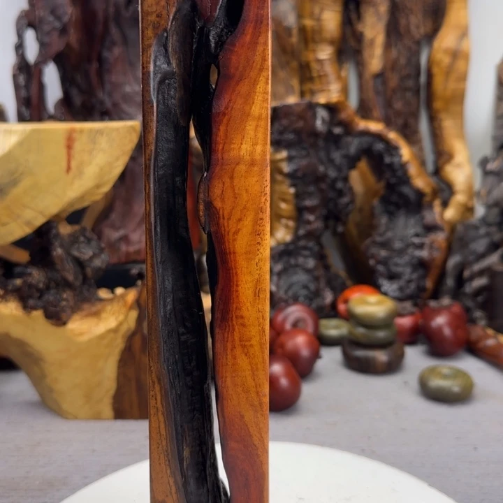 大果紫檀（缅甸花梨）喜*