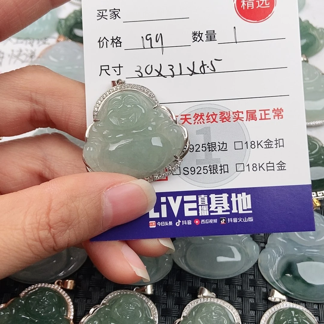 翡翠银S925镶嵌颈饰