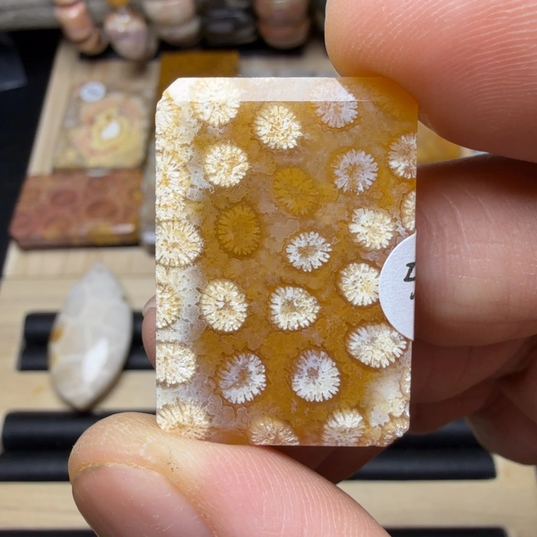 硅化玉未镶嵌纯天然色有机玉石保真色