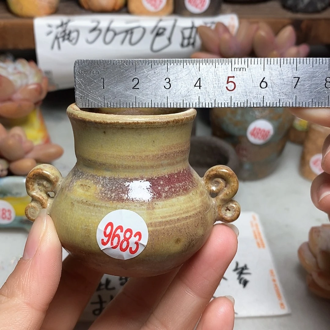 红陶拍5送一个小