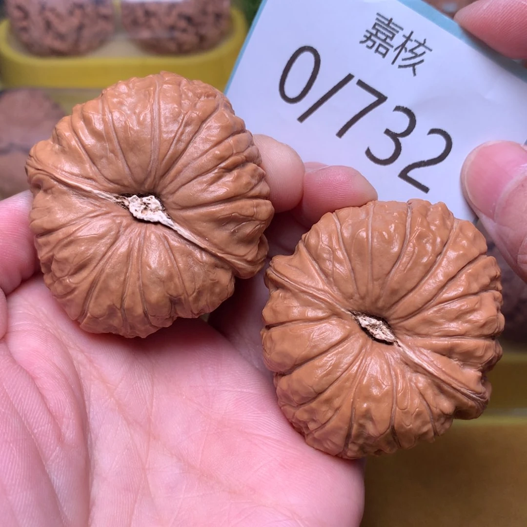 文玩核桃把件毕业肉球南瓜墩45
