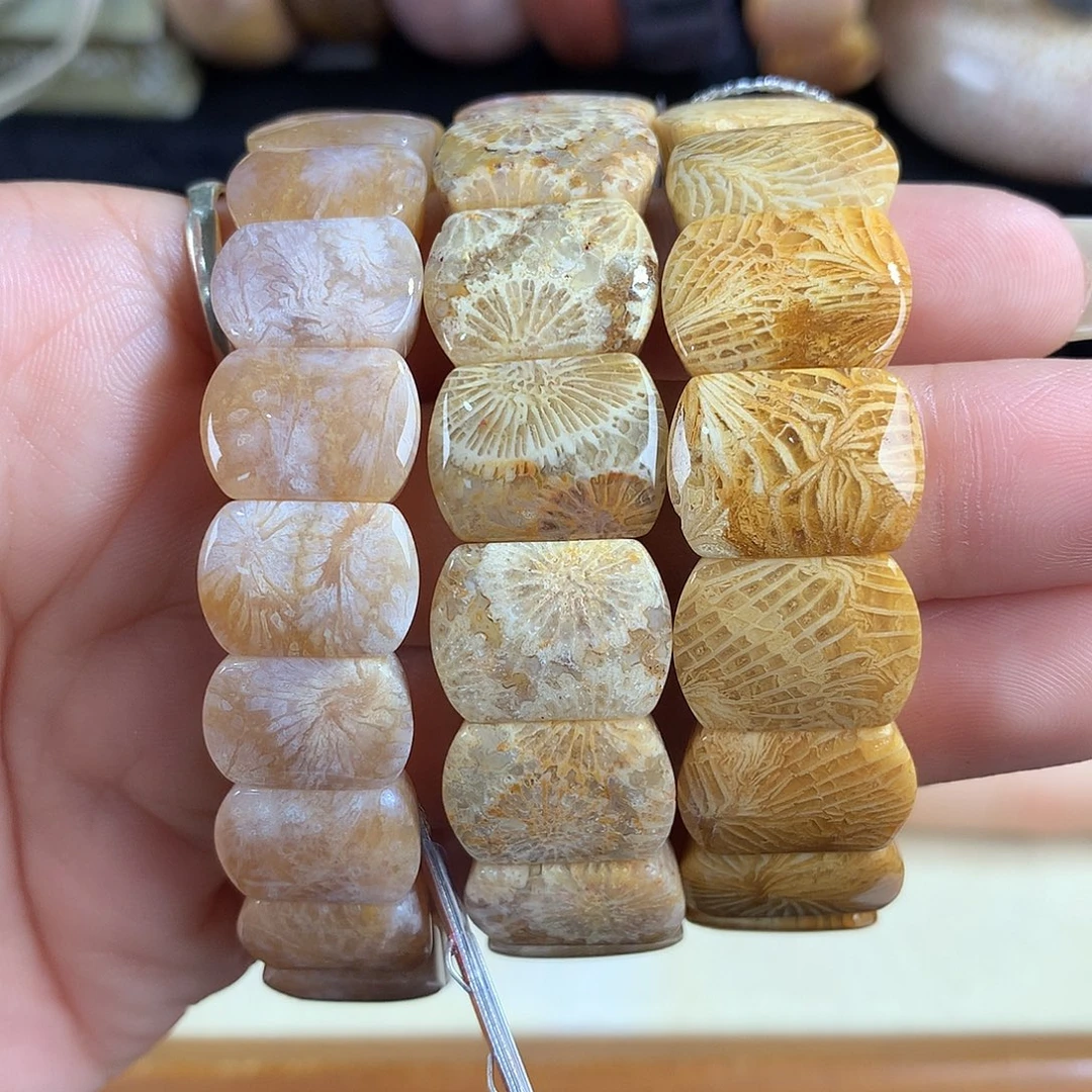吊坠(赠链)未镶嵌硅化珊瑚（珊瑚玉）10号小手排