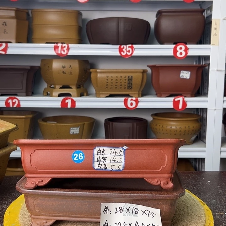 紫砂花盆你在一起