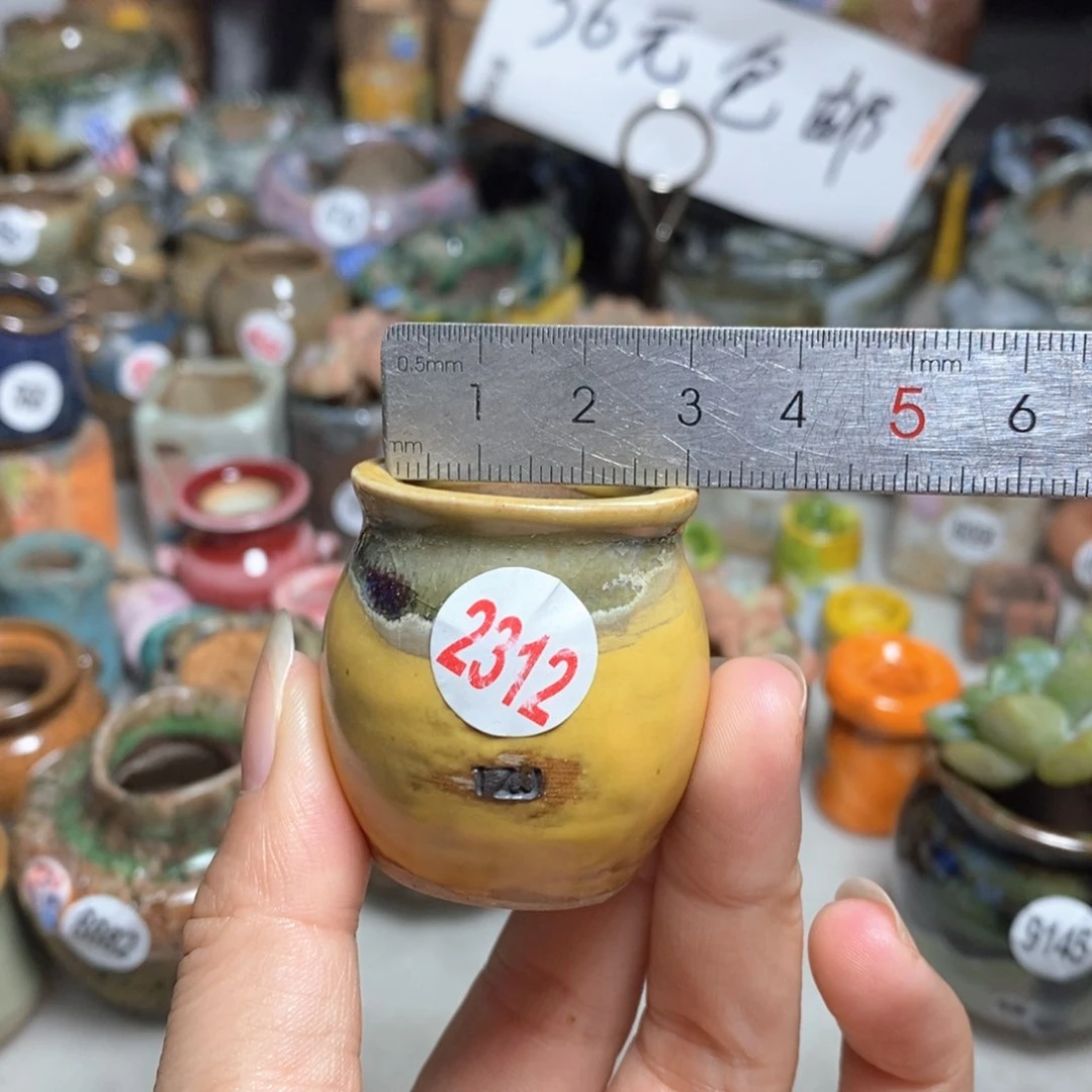 拍5送一个小礼物