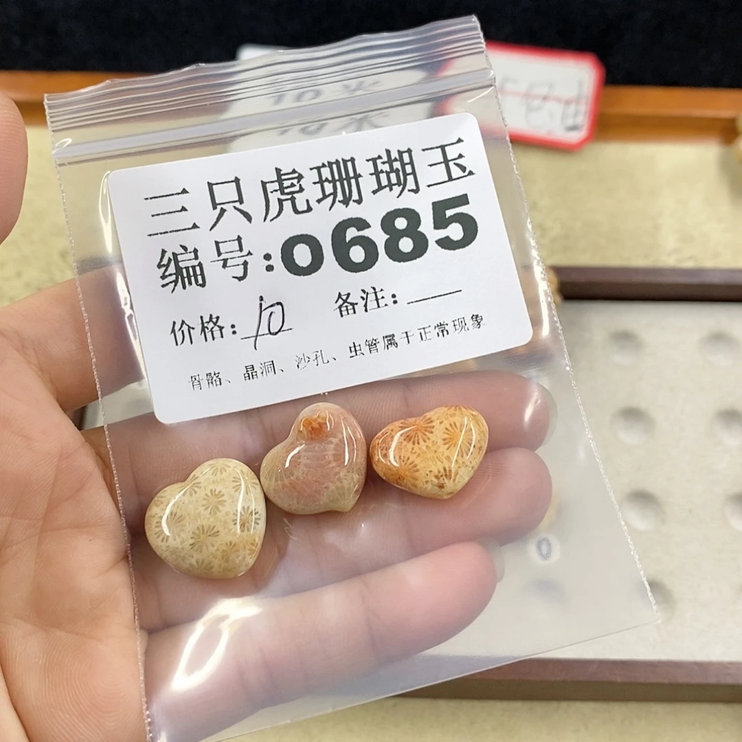 硅化珊瑚（珊瑚玉）1未镶嵌晨*