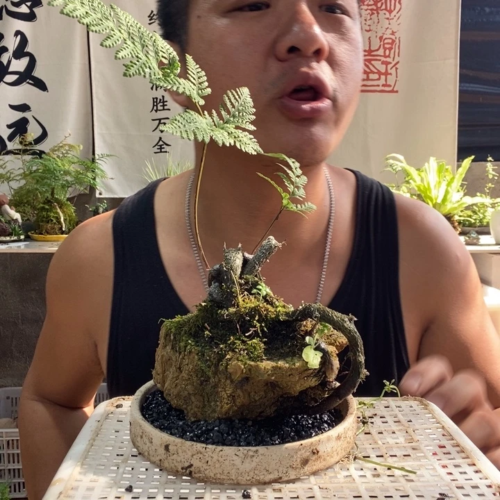 无花朵退款拉黑拉黑43