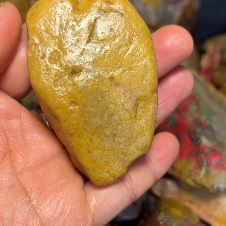 与***手昌化石国石昌化石