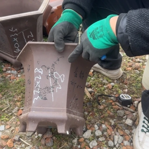 紫砂花盆紫砂花盆盆景盆栽