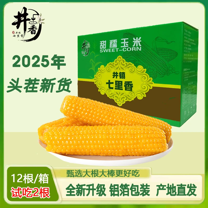【试吃2根】铝箔真空锁鲜东北粘糯黄玉米微甜减脂软糯香4分甜6分糯