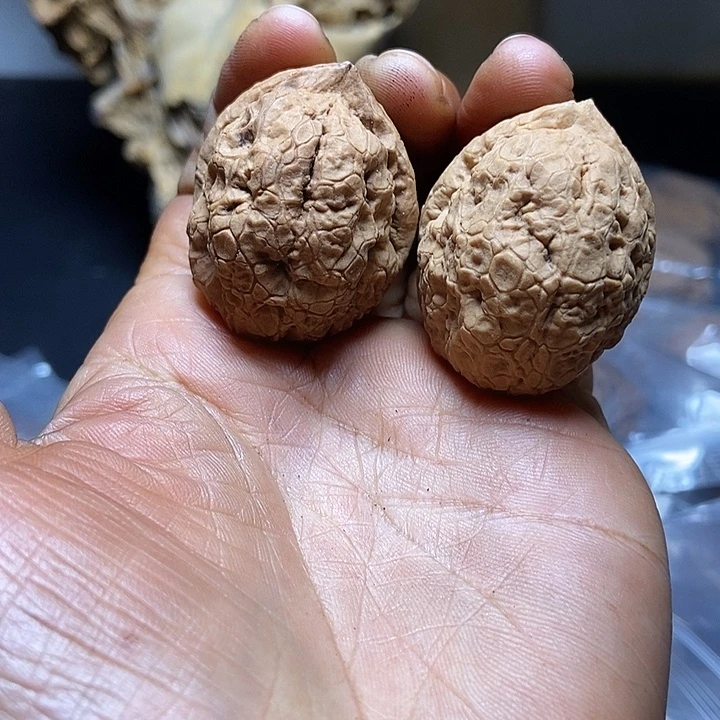 把件文玩核桃云南铁核桃基地50