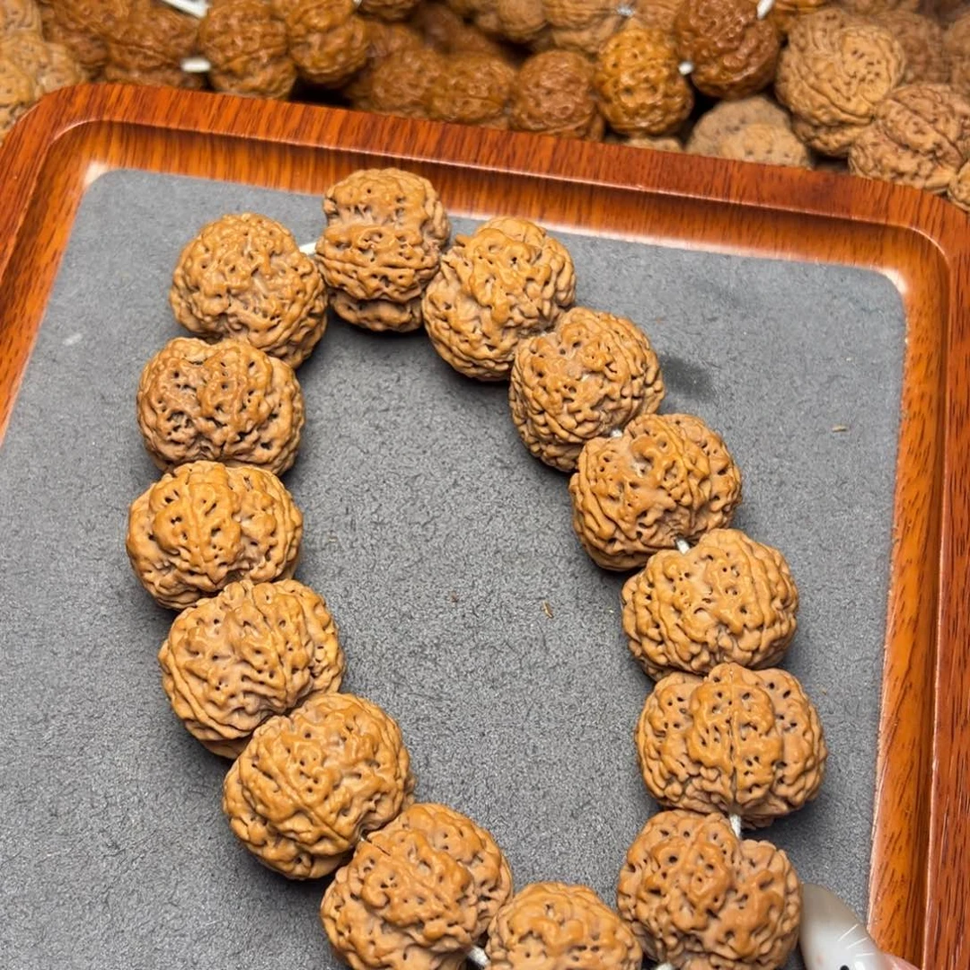 菩提31号尼泊尔大金刚28梅花豆腐块