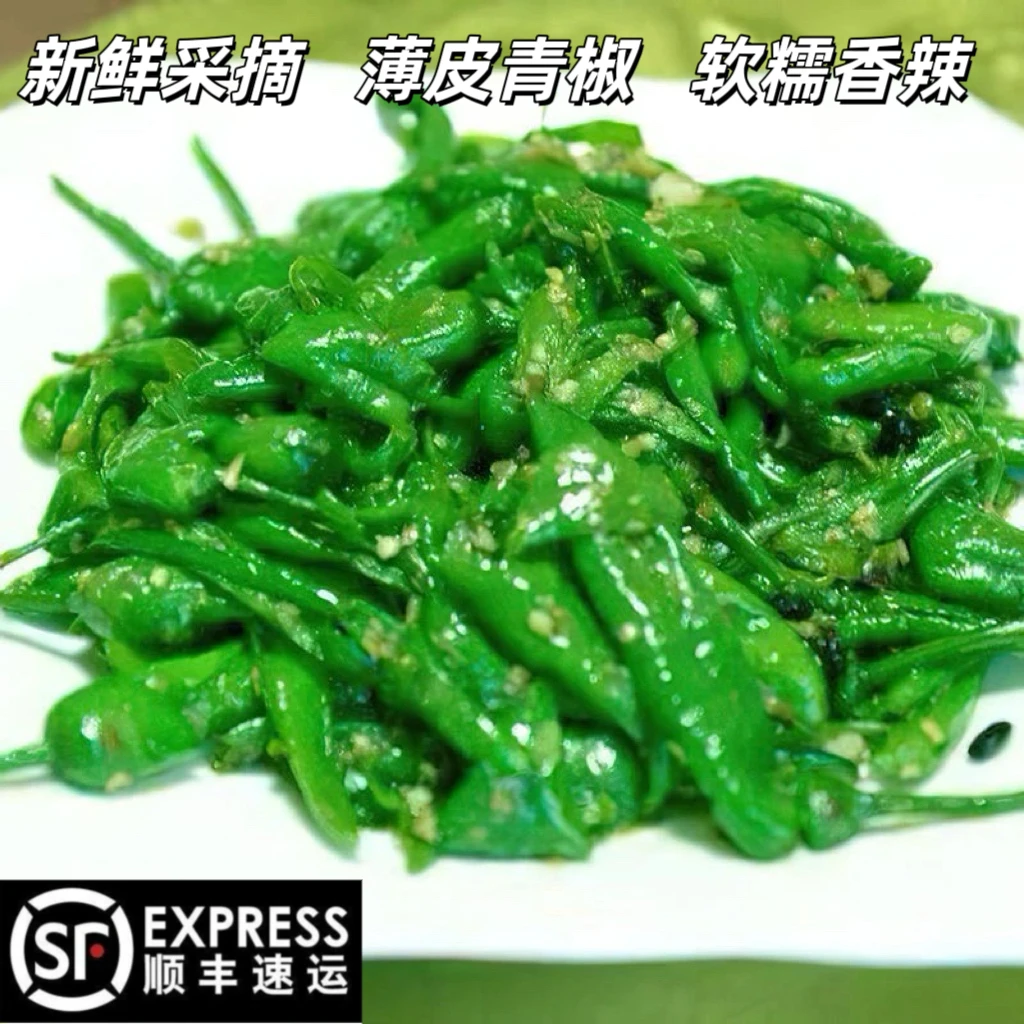【顺丰包邮】樟树薄皮青椒新鲜富晒辣椒新鲜采摘农家自种香辣青辣椒