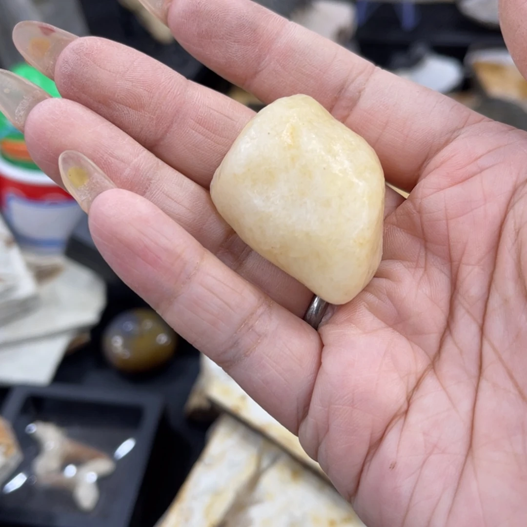 辽西古生物博物库