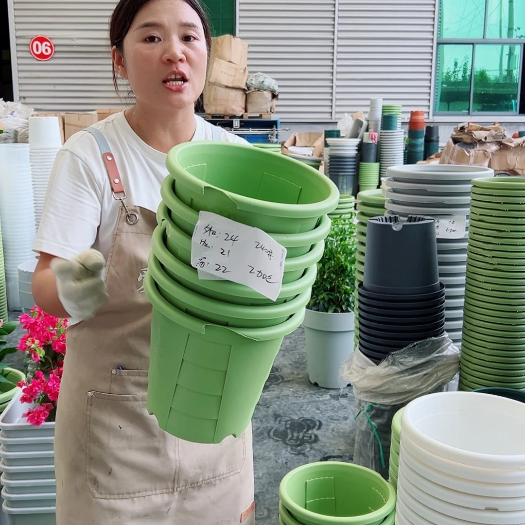 瑕疵玫瑰240#果绿色6个无托