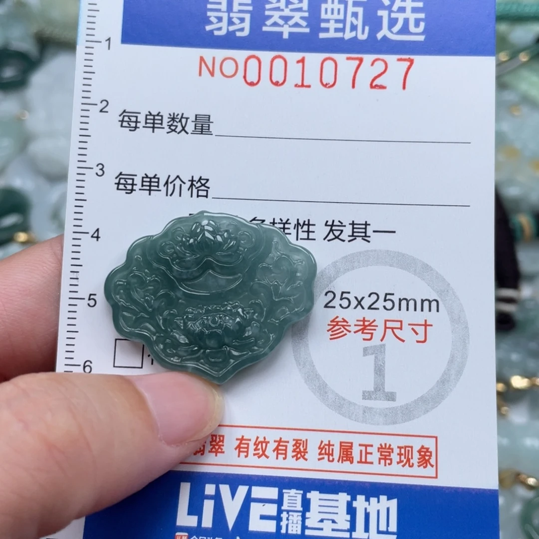 颈饰未镶嵌翡翠10727