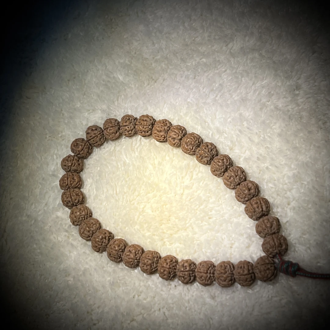 金刚菩提押车链接勿拍拍了不发货