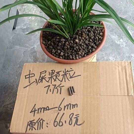 流***画兰菌黑山土虫屎颗粒7.7斤